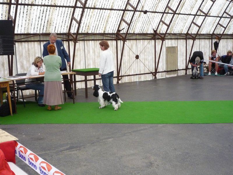 narodka boleslav 008.jpg